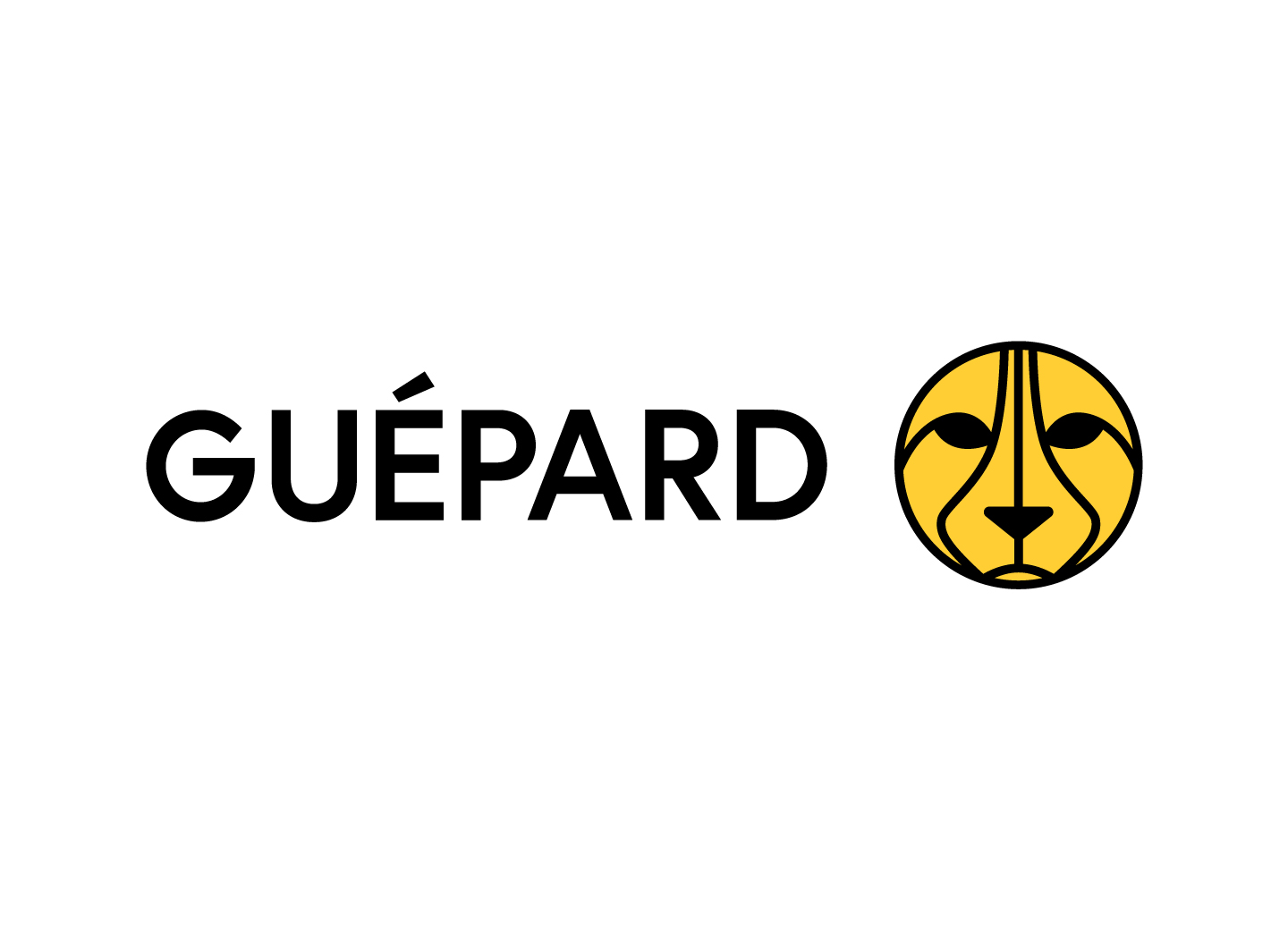Guépard Expert Hubspot logo