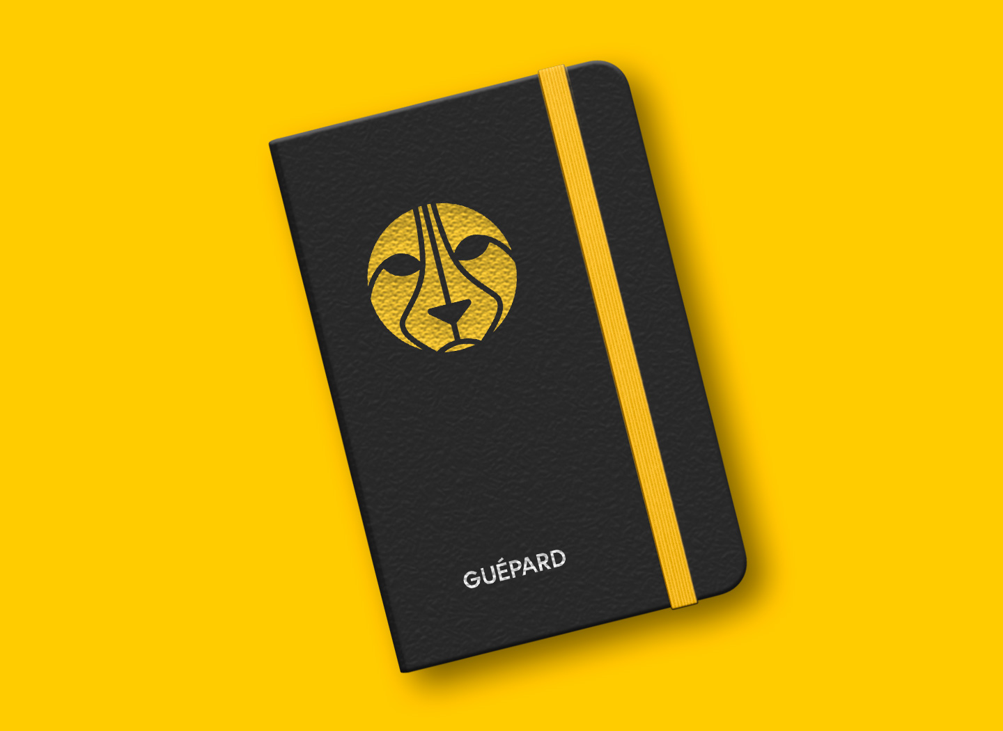Guépard Expert Hubspot logo