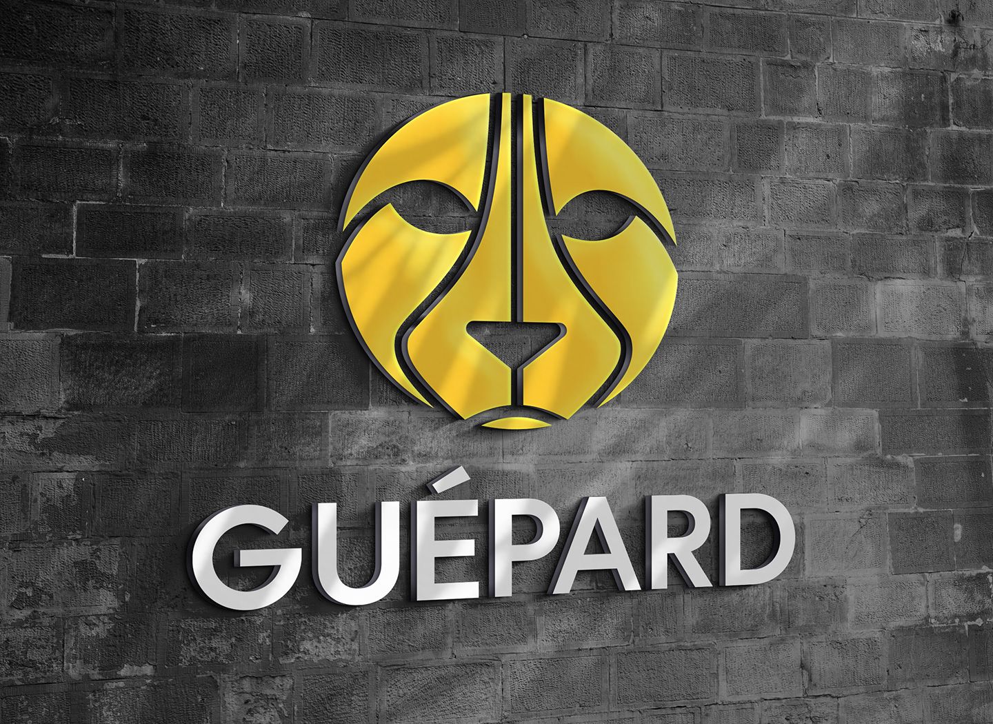Guépard Expert Hubspot logo