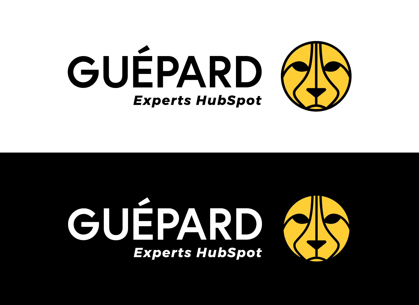 Guépard Expert Hubspot logo